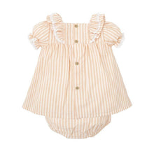 Cargar imagen en el visor de la galería, Jesusito Rayas Naranja Begonia