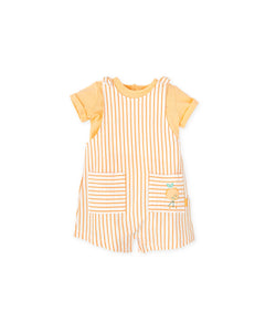 Conjunto "Mandarina