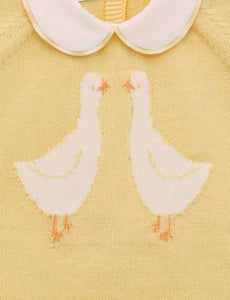 Traje Bordado Patito